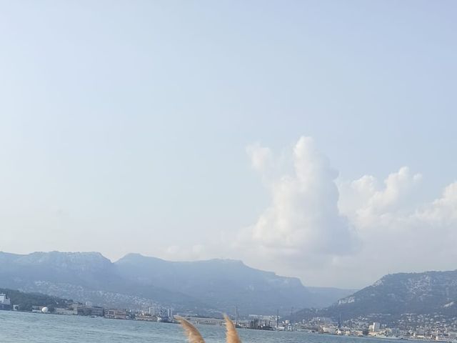 Le mariage de Carole et Wil à Garéoult, Var 10