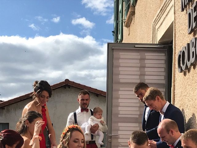 Le mariage de David  et Marine à Brives-Charensac, Haute-Loire 16
