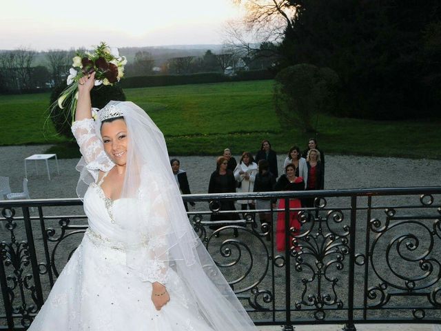 Le mariage de Mike  et Jennifer  à Brie-Comte-Robert, Seine-et-Marne 27