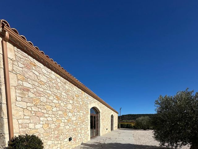 Le mariage de Thibaut et Amandine à Alignan-du-Vent, Hérault 20