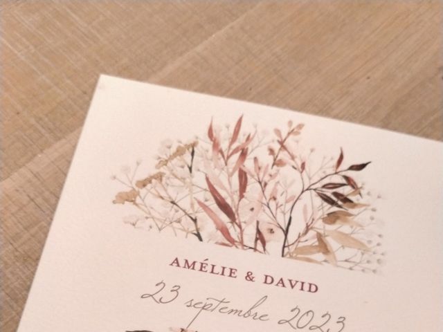 Le mariage de David  et Amélie  à Ponson-Dessus, Pyrénées-Atlantiques 7