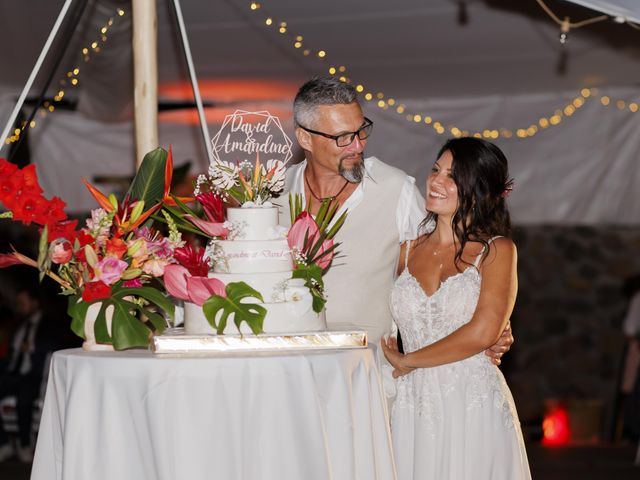 Le mariage de David et Amandine à Le Tampon, La Réunion 78