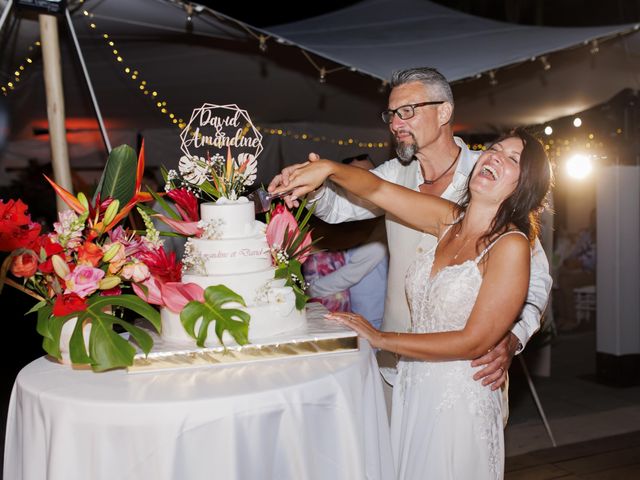 Le mariage de David et Amandine à Le Tampon, La Réunion 81