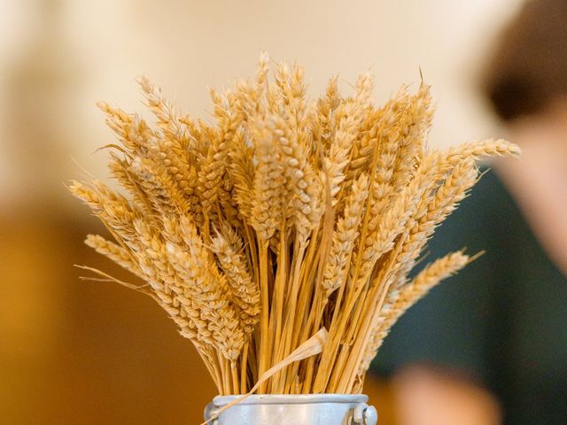 Le mariage de Thomas et Marie à Thouaré-sur-Loire, Loire Atlantique 13