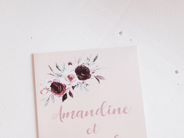 Le mariage de Alexandre et Amandine à Anse, Rhône 9