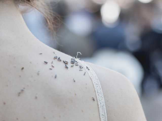 Le mariage de Lionel et Sophie à Avignon, Vaucluse 14