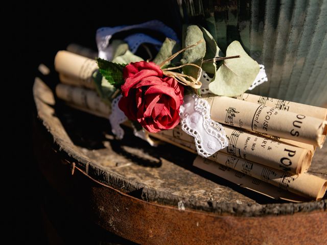 Le mariage de Mikael et Marion à Vallières, Haute-Savoie 16