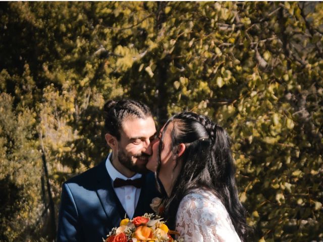 Le mariage de Anthony et Manon  à Ribiers, Hautes-Alpes 3