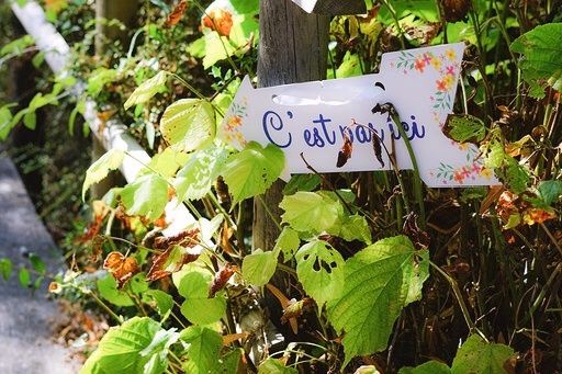 Le mariage de Cyril  et Nathalie  à Saint-Pantaléon-de-Larche, Corrèze 68