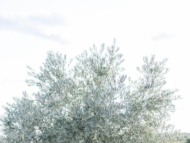 Le mariage de Christophe et Alexia à Caux, Hérault 60