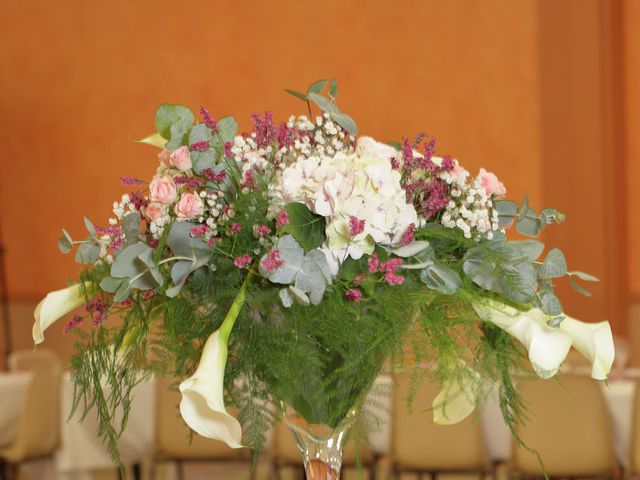 Le mariage de Dona et John à Pierrefitte-sur-Sauldre, Loir-et-Cher 29