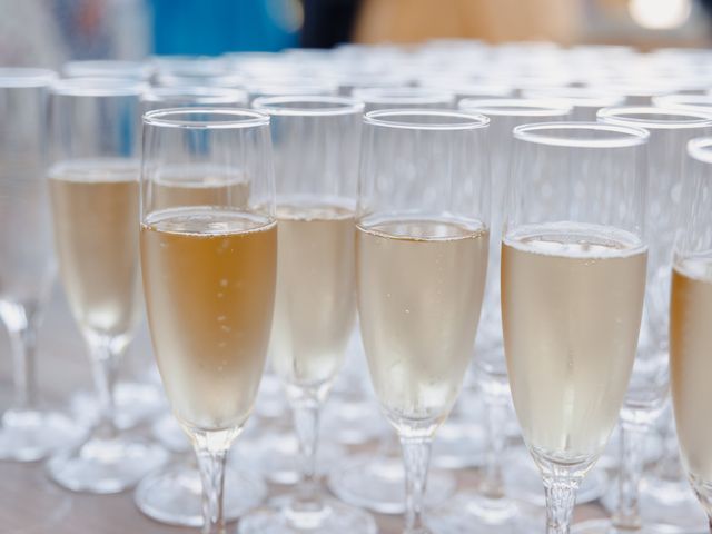 Le mariage de Alexandru et Marina à Lyon, Rhône 31