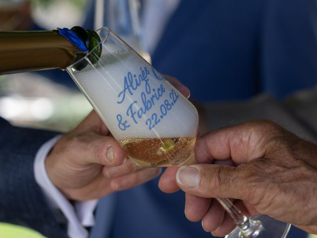 Le mariage de Fabrice et Alizée à Grignan, Drôme 16