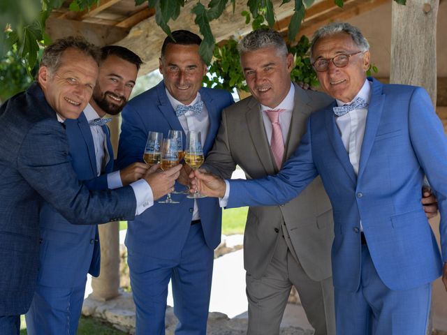 Le mariage de Fabrice et Alizée à Grignan, Drôme 17