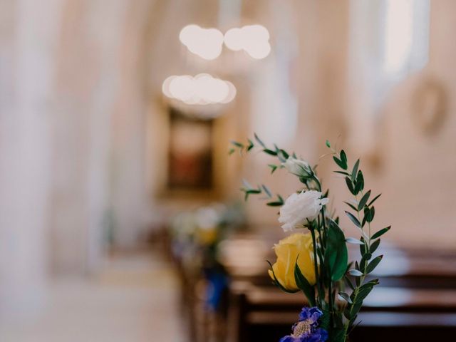 Le mariage de Manu et Sophie à Cheverny, Loir-et-Cher 35