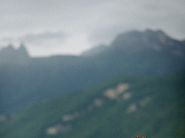 Le mariage de Maxwell et Aidan à Giez, Haute-Savoie 29