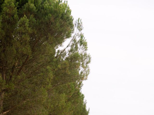 Le mariage de Moshé et Helene à Auros, Gironde 40