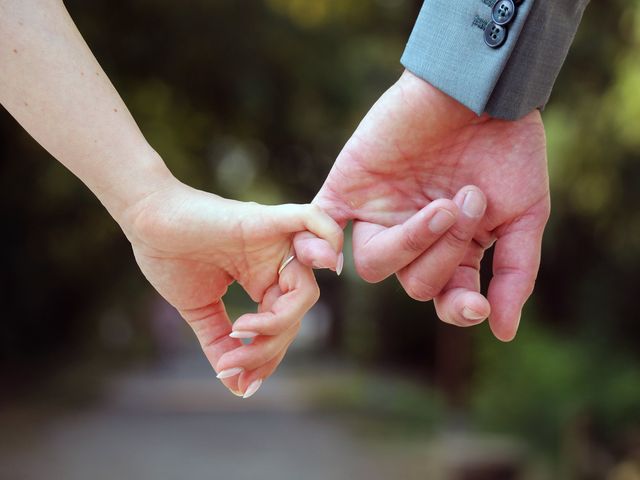 Le mariage de Clément et Charlotte à Sallertaine, Vendée 1