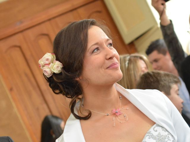Le mariage de Damien et Fanny à Soligny-les-Étangs, Aube 10