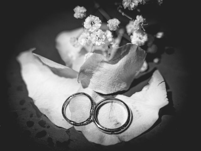 Le mariage de Jean-François et Fabienne à Nogent-sur-Marne, Val-de-Marne 16