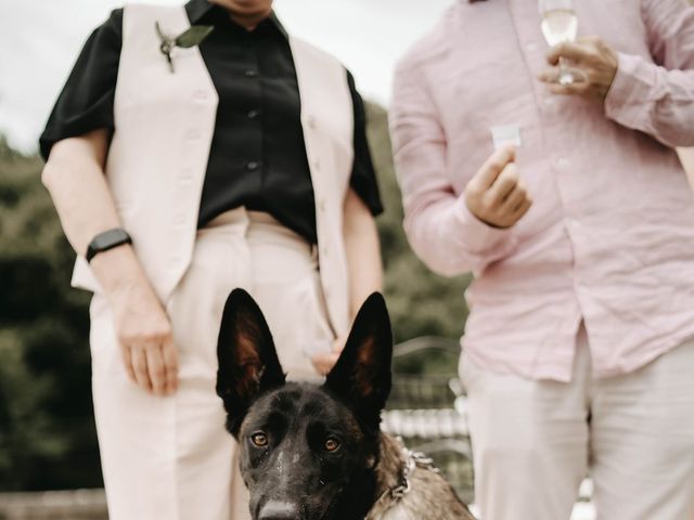 Le mariage de Olivier et Deirdre à Saint-Étienne-de-Chigny, Indre-et-Loire 18