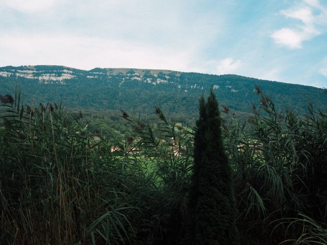 Le mariage de Sylvain et Catherine à Gruffy, Haute-Savoie 13