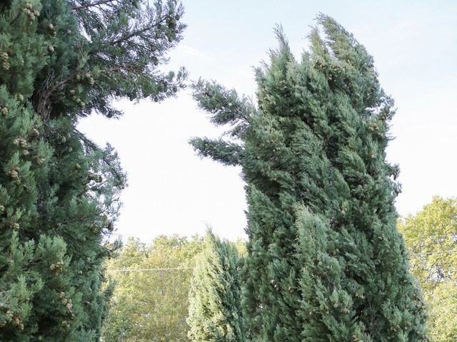 Le mariage de Mathieu et Claire à Toulouse, Haute-Garonne 32