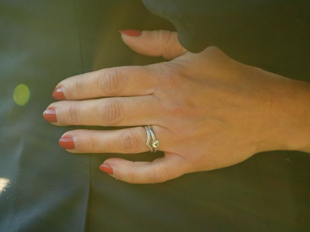 Le mariage de Vincent et Sandra à Mandres-les-Roses, Val-de-Marne 31