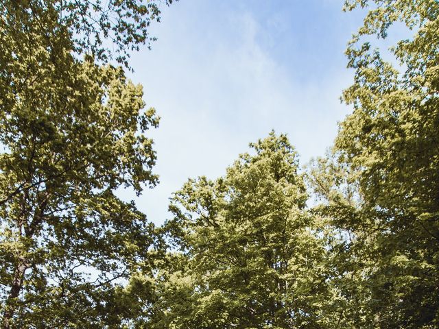 Le mariage de Julien et Alexia à Maisons-Alfort, Val-de-Marne 32