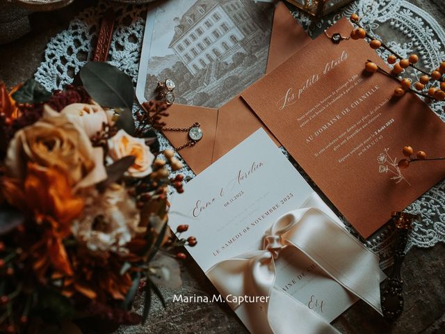 Le mariage de Aurélien et Emma à Saint-Marcel-Bel-Accueil, Isère 10
