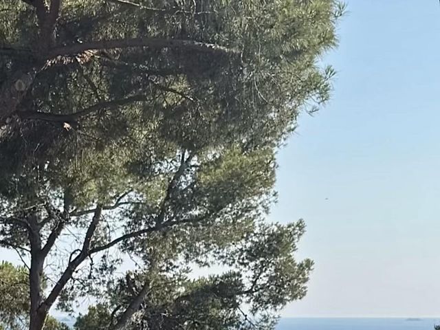 Le mariage de Thibault et Emma à Hyères, Var 11