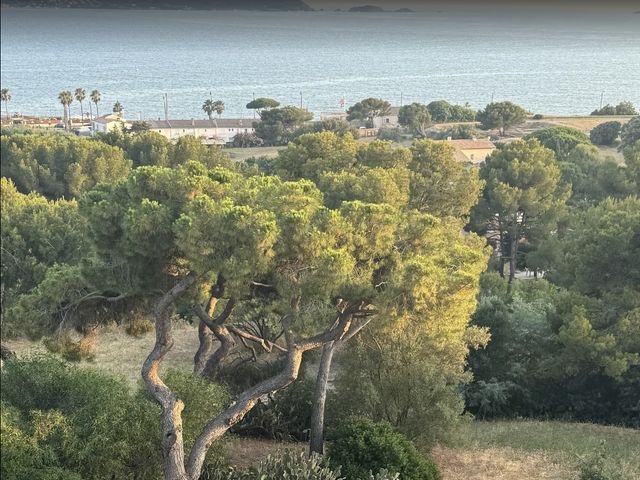 Le mariage de Thibault et Emma à Hyères, Var 21