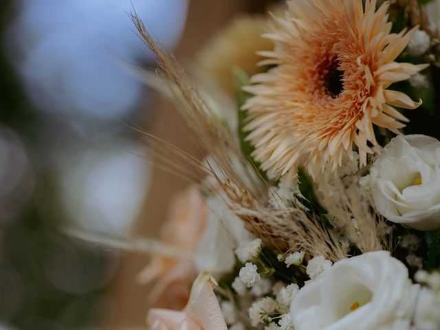 Le mariage de Scott et Lise à Gevigney-et-Mercey, Haute-Saône 17