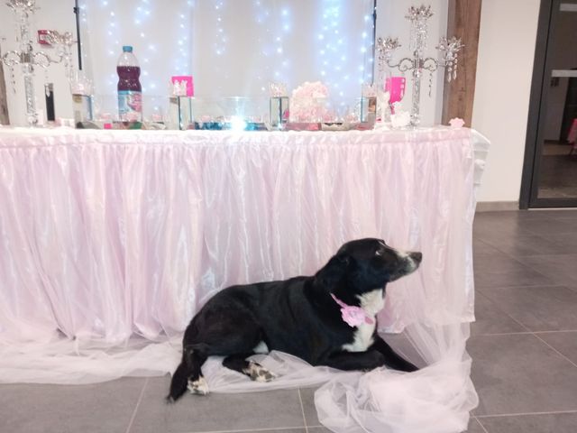 Le mariage de Jessica et Luc à Bruguières, Haute-Garonne 4
