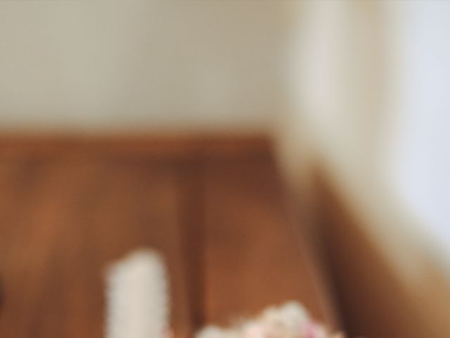 Le mariage de Loïc et Cécile à Puycelci, Tarn 3