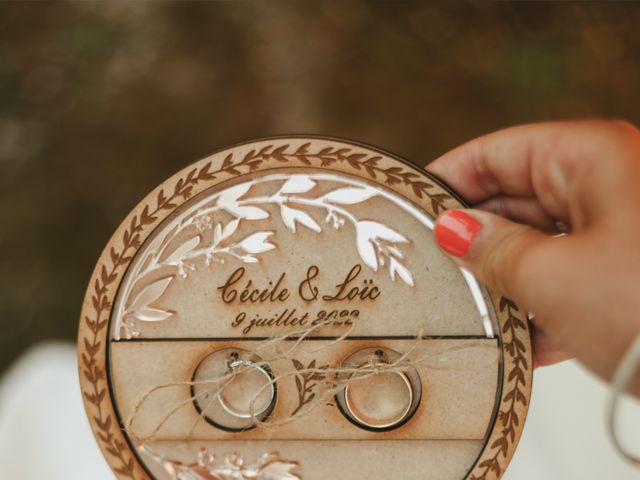 Le mariage de Loïc et Cécile à Puycelci, Tarn 20
