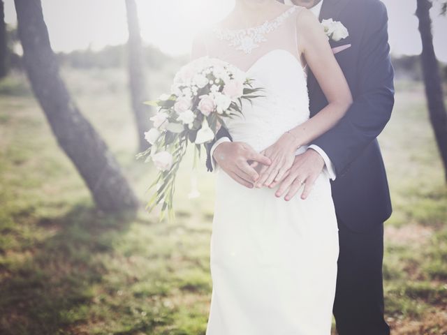 Le mariage de Pascal et Meggan à Saint-Christol-lès-Alès, Gard 10