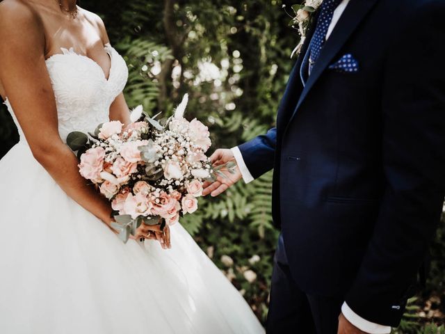 Le mariage de Thomas et Marina à Le Castellet, Var 65