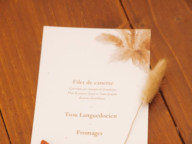 Le mariage de Alex et Sara à Aimargues, Gard 3