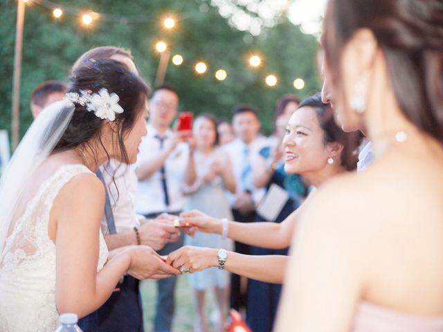 Le mariage de Daniel et Maggie à Lisse, Lot-et-Garonne 89