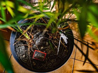 Le mariage de Stéphanie et Aurélien 3