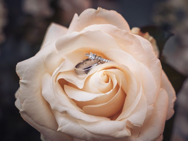 Le mariage de Thimothée et Marine à Combs-la-Ville, Seine-et-Marne 245