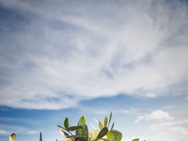 Le mariage de Lisandru et Sanam à Cargèse, Corse 24