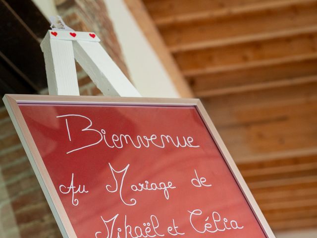 Le mariage de Mikaël et Célia à Longages, Haute-Garonne 12