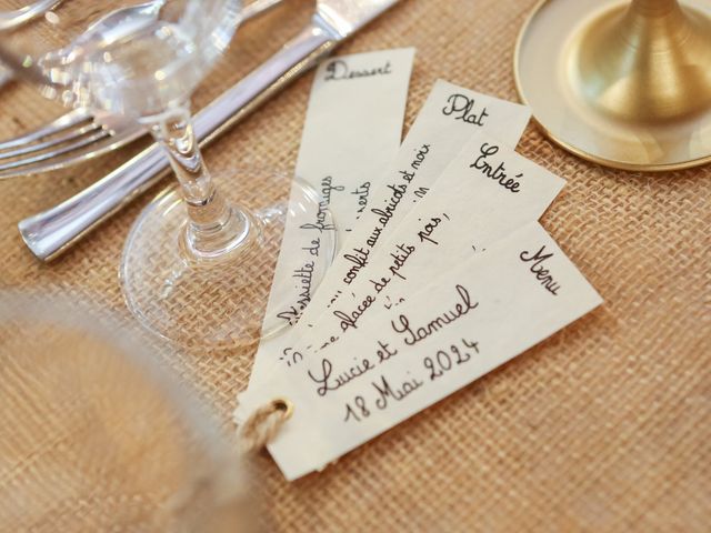 Le mariage de Samuel et Lucie à Beaulieu-sur-Loire, Loiret 36