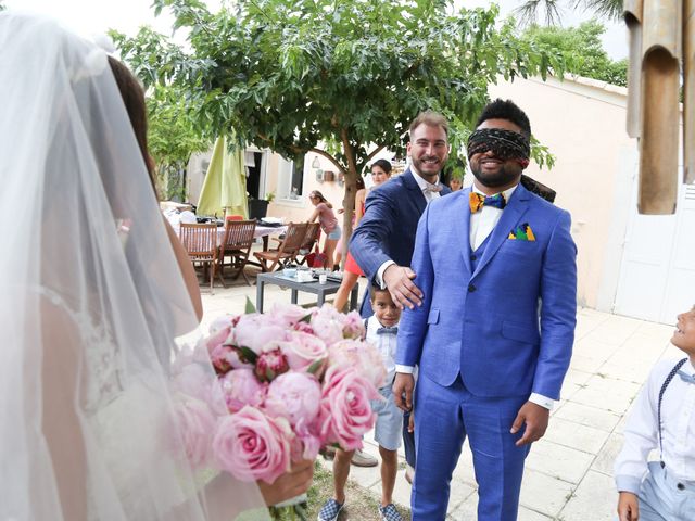 Le mariage de Francis et Laura à Lançon-Provence, Bouches-du-Rhône 14