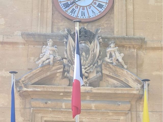 Le mariage de Julien et Mégane à Salon-de-Provence, Bouches-du-Rhône 13
