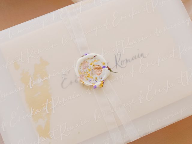 Le mariage de Ericka et Romain à Nort-sur-Erdre, Loire Atlantique 41