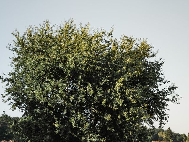 Le mariage de Guillaume et Maë à Blanquefort, Gironde 36