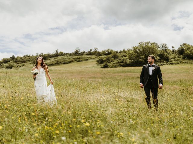 Le mariage de Pierre et Méganne à Roanne, Loire 17